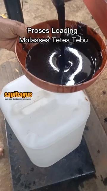 Loading-Molasses-Tetes-Tebu-10-Ton